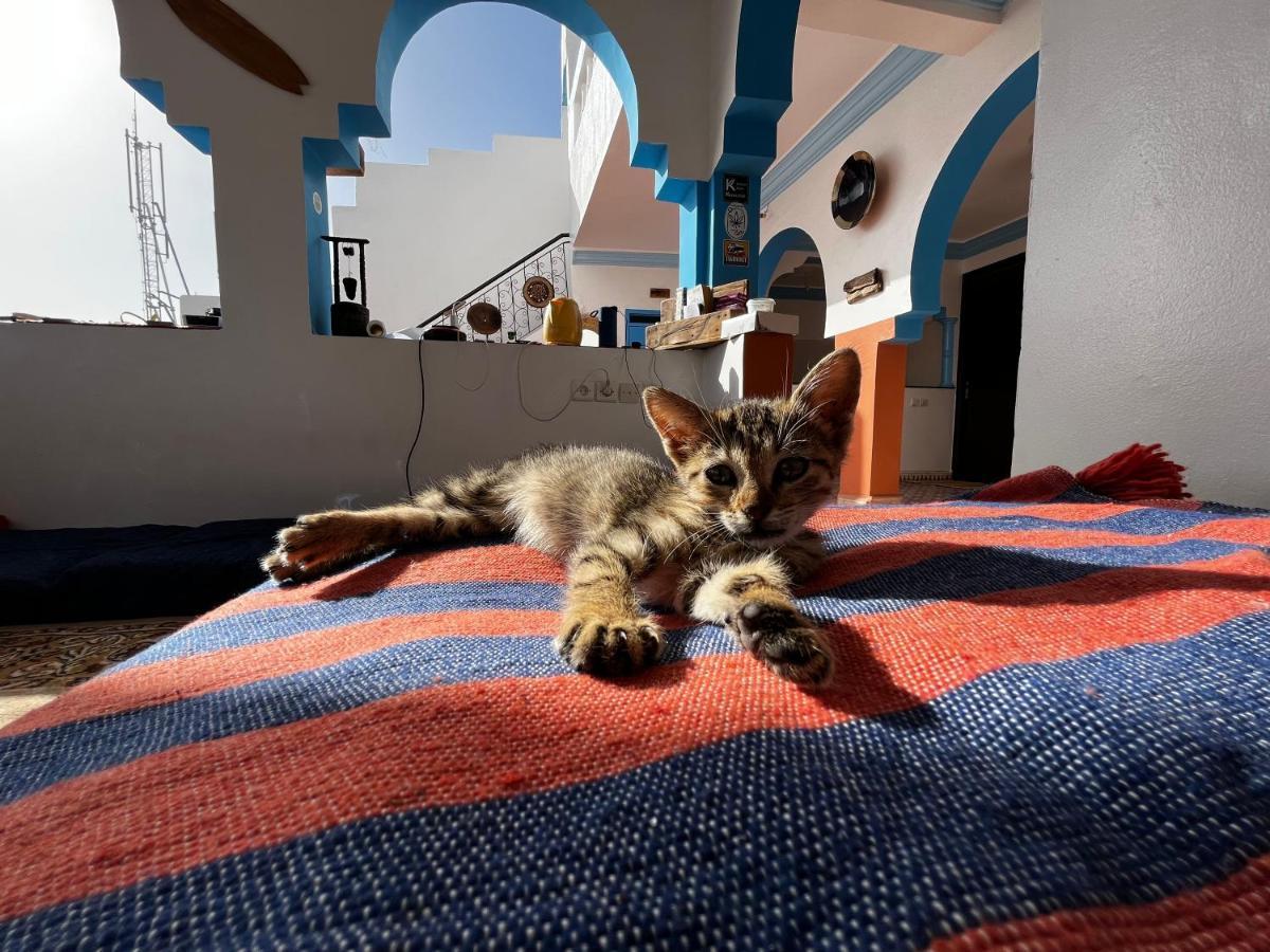 Binic Surf House Panzió Taghazout Kültér fotó